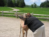 Enlarge photo 116