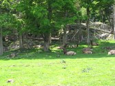 Enlarge photo 119