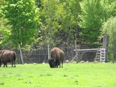 Enlarge photo 122