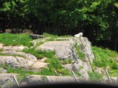 Enlarge photo 126