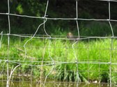 Enlarge photo 127