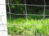 Enlarge photo 128