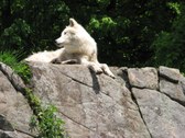 Enlarge photo 129