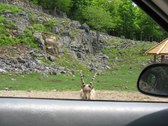 Enlarge photo 134