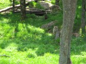 Enlarge photo 135