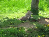 Enlarge photo 136