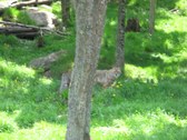 Enlarge photo 137