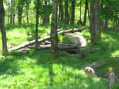 Enlarge photo 138