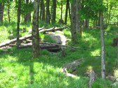 Enlarge photo 139