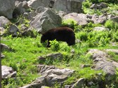 Enlarge photo 140