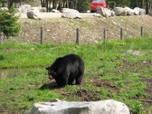Enlarge photo 141