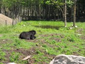 Enlarge photo 142