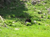 Enlarge photo 143