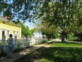 Enlarge photo 173