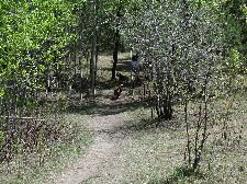 Enlarge photo 92