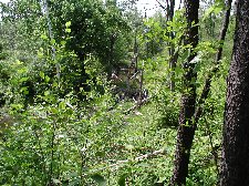 Enlarge photo 25
