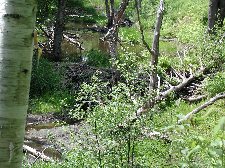 Enlarge photo 26