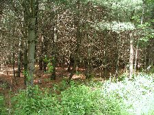 Enlarge photo 27