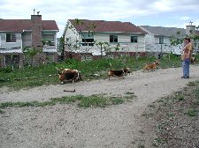 Enlarge photo 106