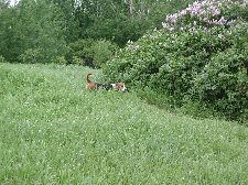 Enlarge photo 110