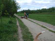Enlarge photo 111
