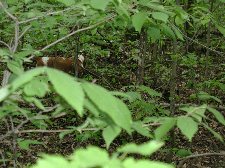 Enlarge photo 118
