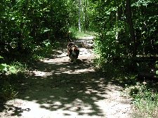 Enlarge photo 34