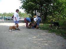 Enlarge photo 99