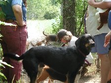 Enlarge photo 44