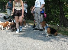 Enlarge photo 54