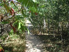 Enlarge photo 73
