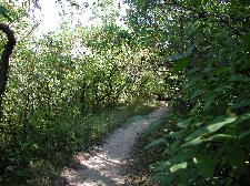 Enlarge photo 74