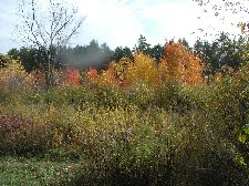 Enlarge photo 77