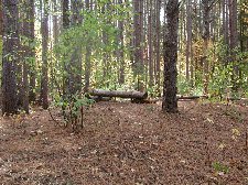 Enlarge photo 82
