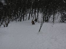 Enlarge photo 2