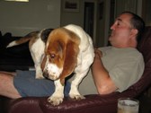 Enlarge photo 13
