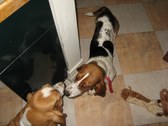 Enlarge photo 19
