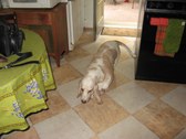Enlarge photo 29