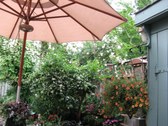 Enlarge photo 21