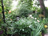 Enlarge photo 23
