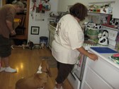 Enlarge photo 33