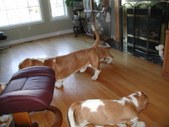 Enlarge photo 6