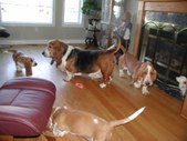 Enlarge photo 7