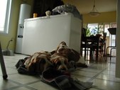 Enlarge photo 10
