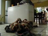 Enlarge photo 11