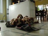 Enlarge photo 12
