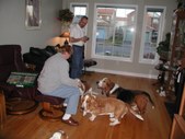 Enlarge photo 17