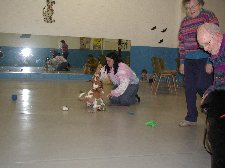 Enlarge photo 30