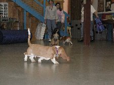 Enlarge photo 51