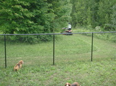 Enlarge photo 5